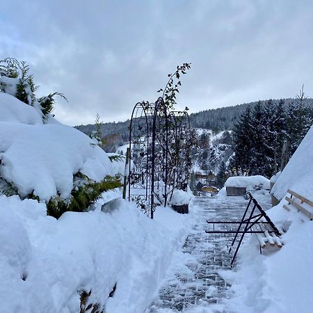 Fluegels Rebi-Baude Villa Rechenberg-Bienenmühle Екстериор снимка