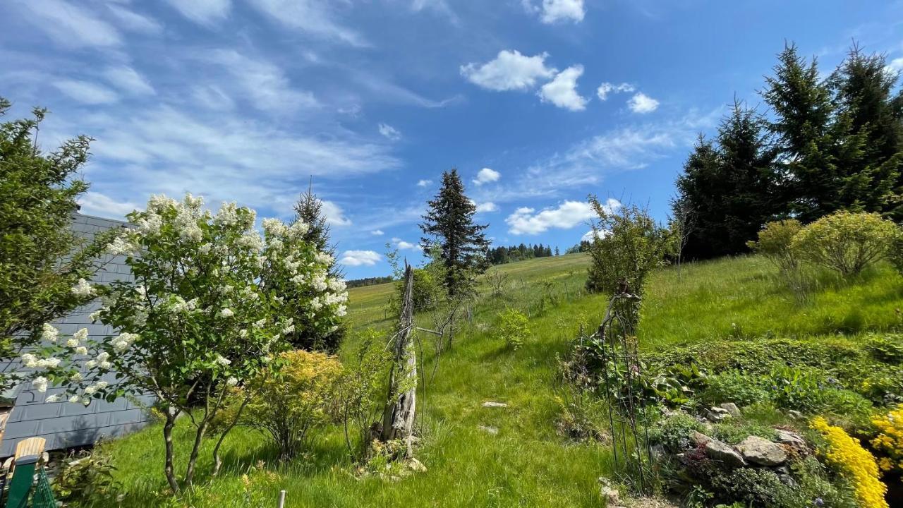 Fluegels Rebi-Baude Villa Rechenberg-Bienenmühle Екстериор снимка