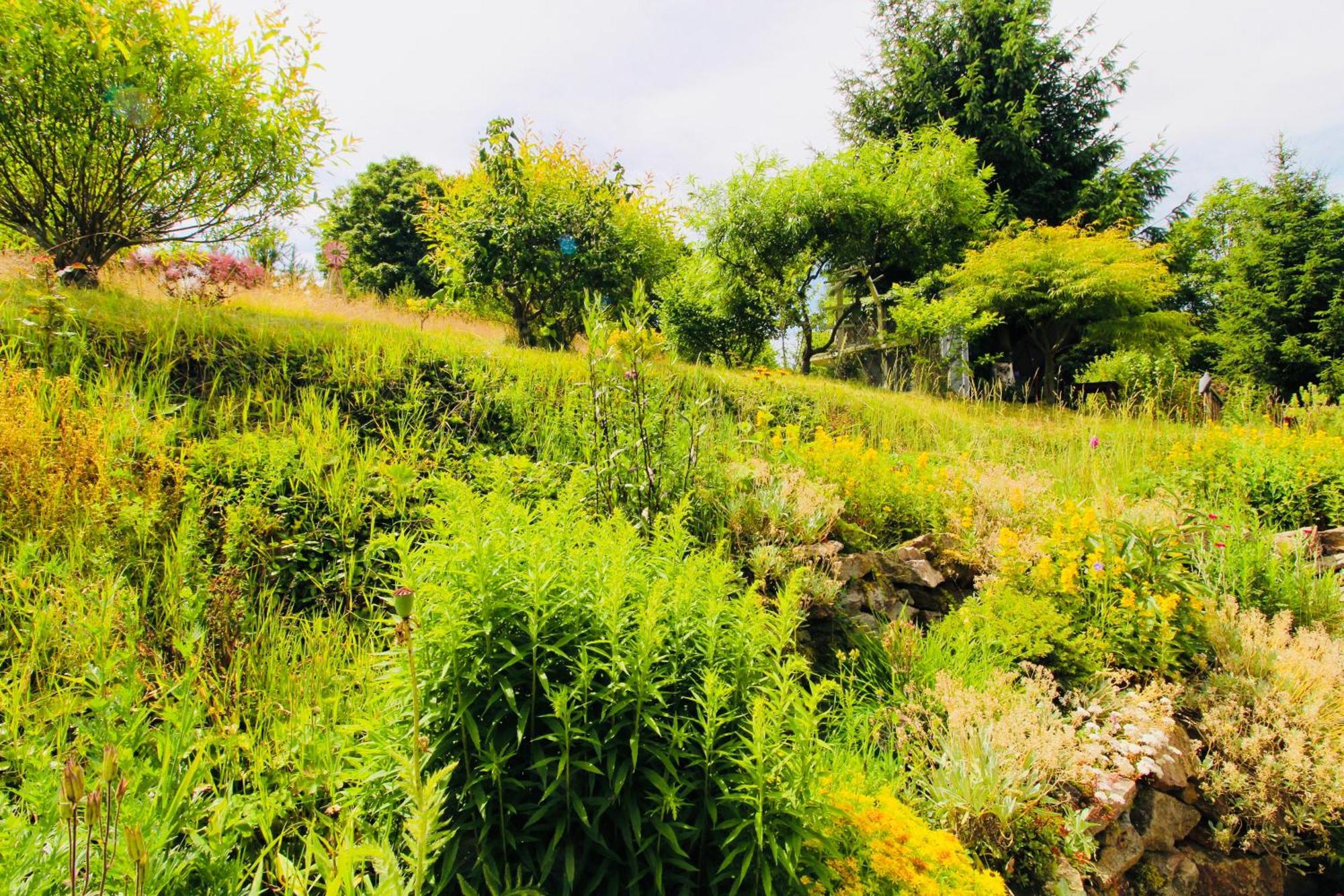 Fluegels Rebi-Baude Villa Rechenberg-Bienenmühle Екстериор снимка